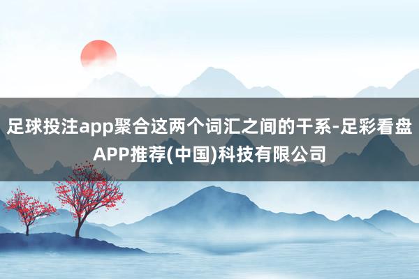 足球投注app聚合这两个词汇之间的干系-足彩看盘APP推荐(中国)科技有限公司